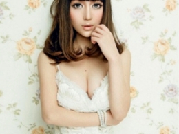 2013аl(f)ͣŮ滨^l(f)͈DƬ