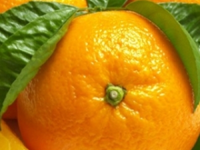 ol(f)] ˮҲܳԳl(f)