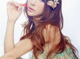 l(f)L(zhng)Ҫ Pc(din)l(f)