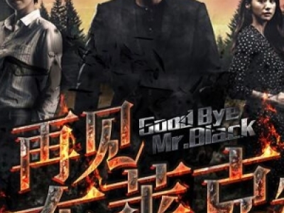 Goodbye Mr BlackҊR044YԴٶ