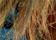 ^l(f)ֲôk o(h)^l(f)ֲ_