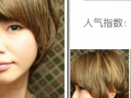 2011^^r6|˚bob^