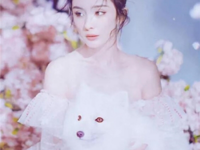 猑l(f) ɚʮˑz
