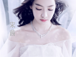 Ů˽O(sh)Ӌ ٴl(f)ͅ