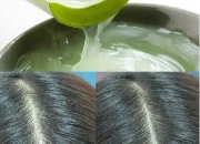 JCίÓl(f) JCol(f)Һ