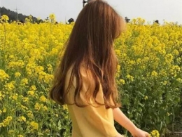 L(zhng)l(f)DƬ2018 Ӱֳٰl(f)