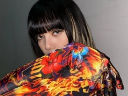 Lisa̰l(f)l(f)͈DƬ (jng)䲨^̰l(f)