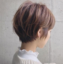 2025ϵ̰l(f)] ޜpg@|(zh)S